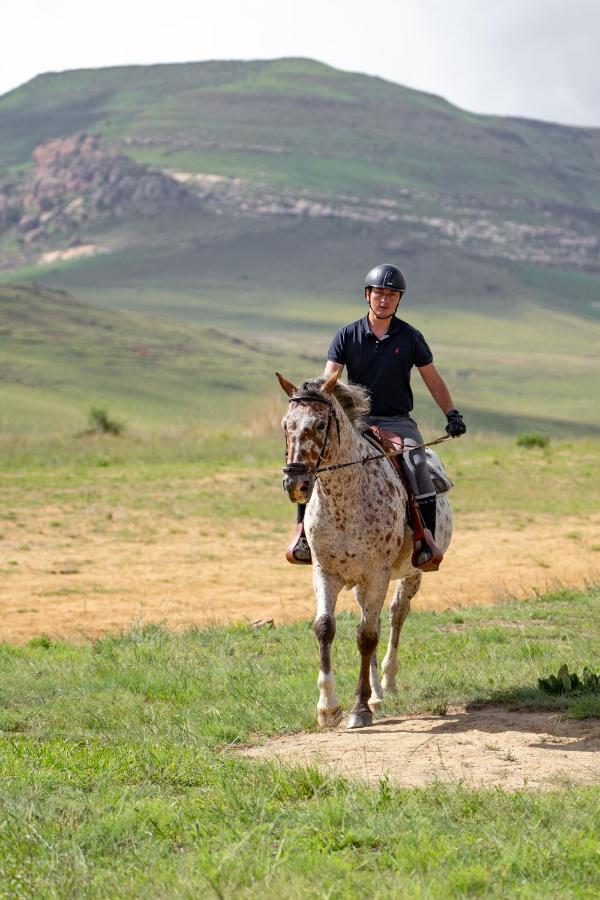 Wild Horses Lodge Harrismith Eksteriør billede