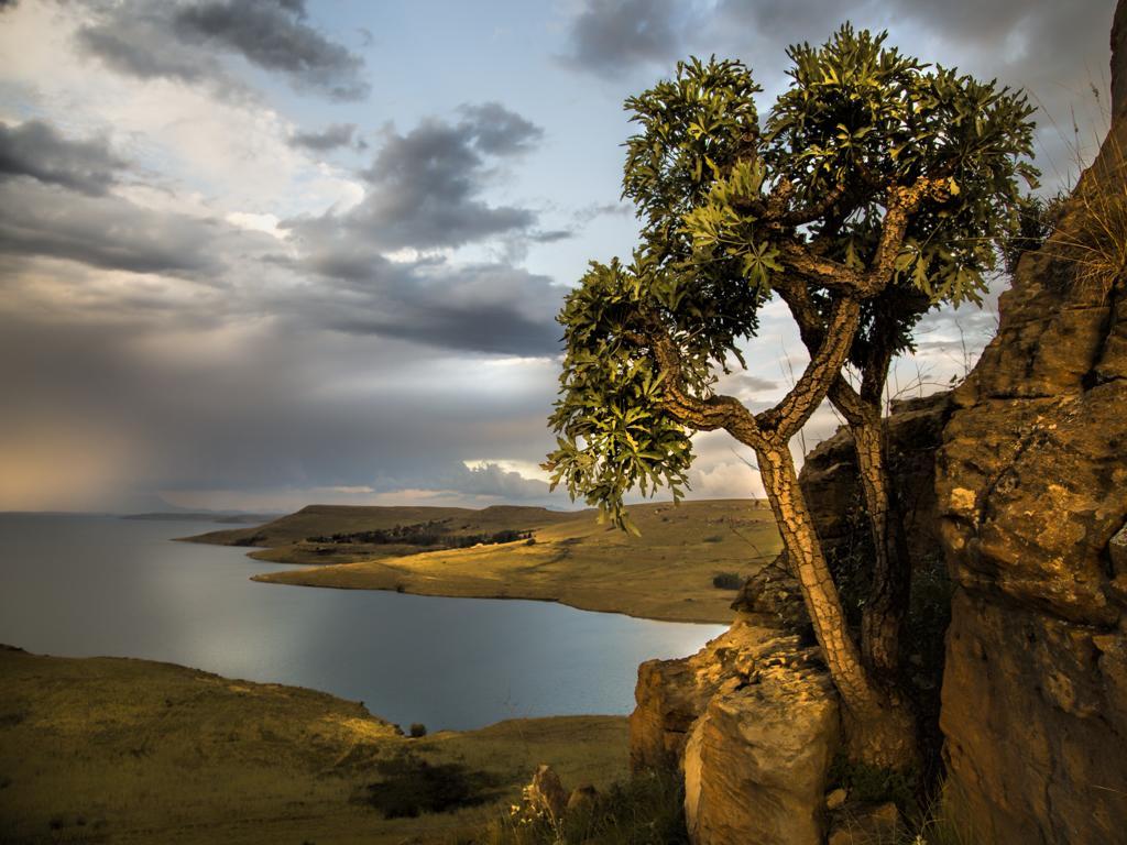 Wild Horses Lodge Harrismith Eksteriør billede