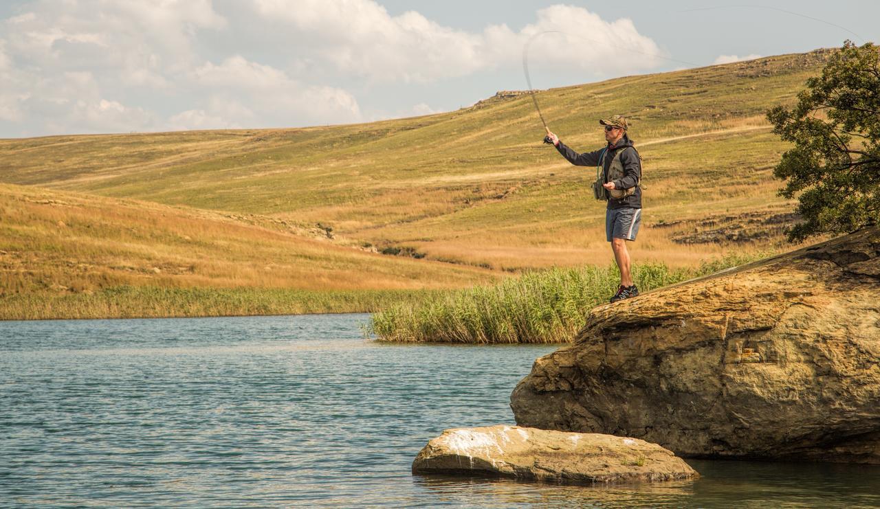 Wild Horses Lodge Harrismith Eksteriør billede