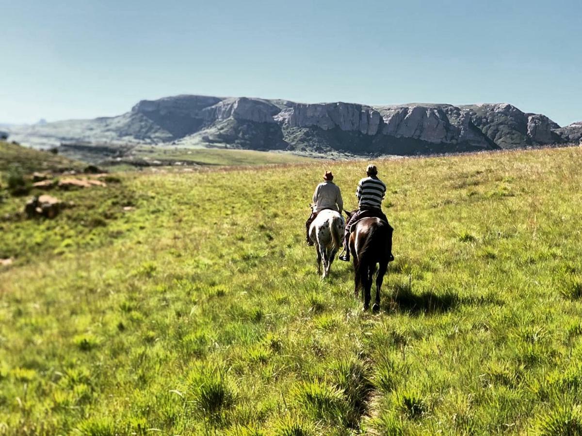 Wild Horses Lodge Harrismith Eksteriør billede